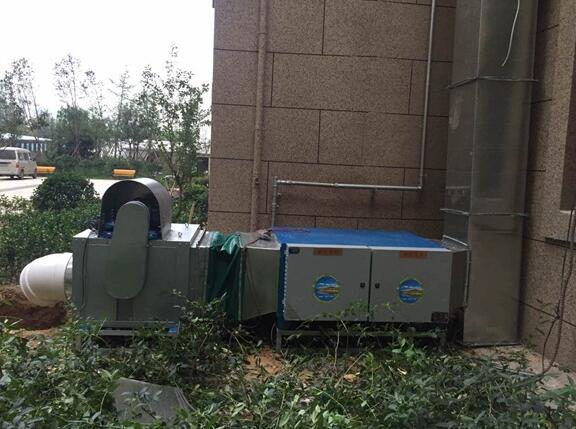 山东通风蜜桃成人在线精品视频加工
